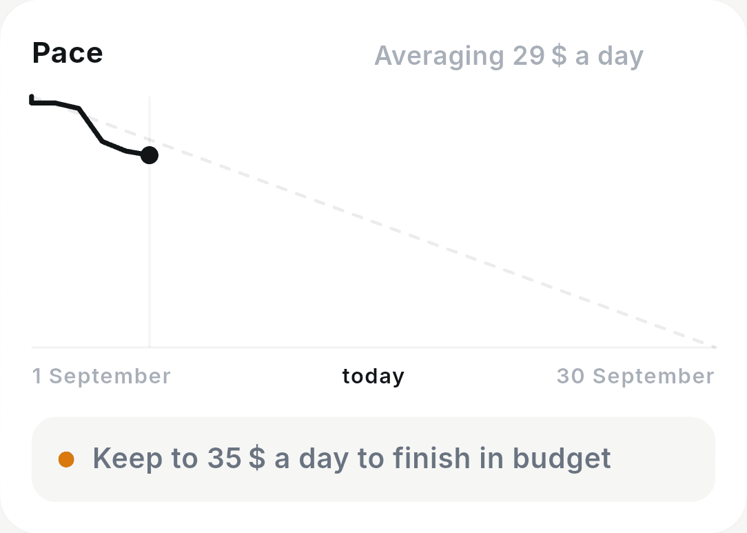 The pace chart, with the line to hold and the sentence "Keep to 26 $ a day to finish in budget".